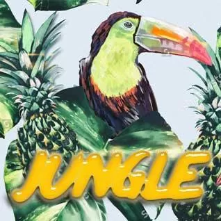 Jungle - 0 mg / 30ml