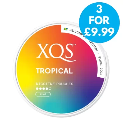 XQS Snus 8mg Nicotine Pouches - Vape Co