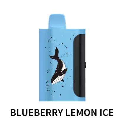 PICCO STAR 40000 Puffs – Blueberry Lemon Ice - Ozvapeone (47E8D6)