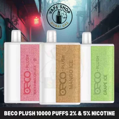 Beco Plush 10000 Puffs 5% Nicotine Disposable Vape In Dubai - BOX OF 10 PCS; Fresh Mint