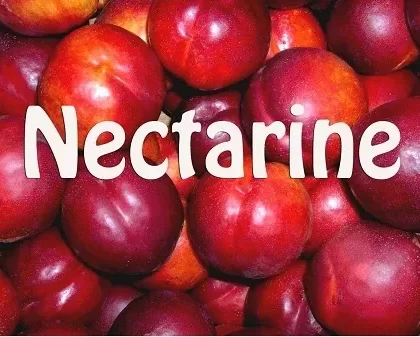 Nectarine Premium E-Liquid