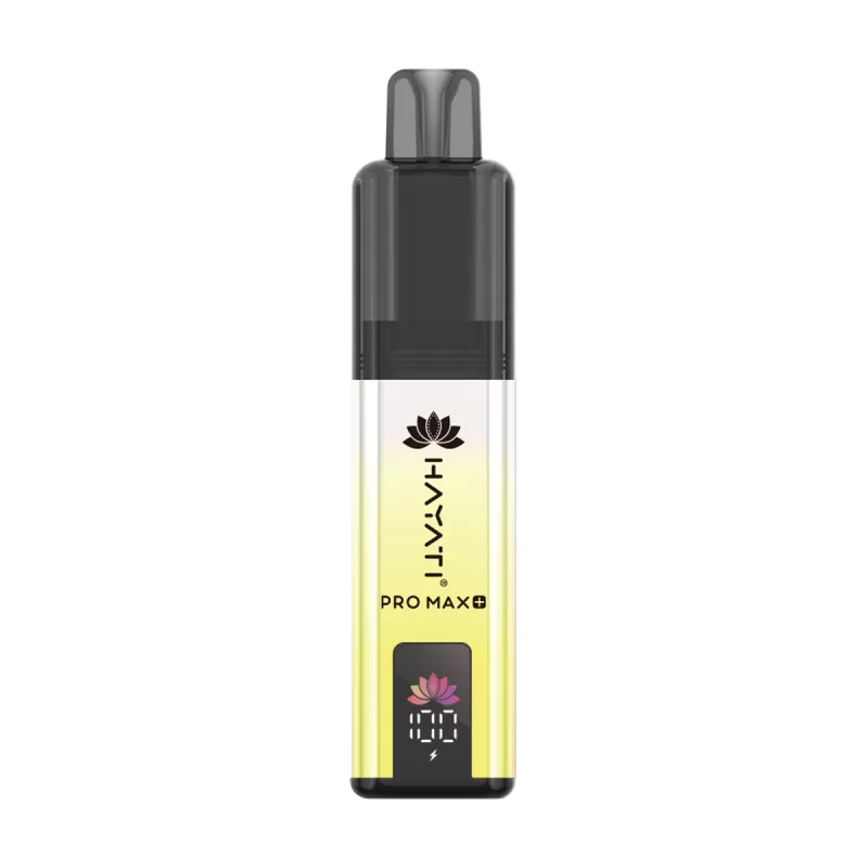 Hayati Pro Max Plus 6000 Puffs - Summer Dream