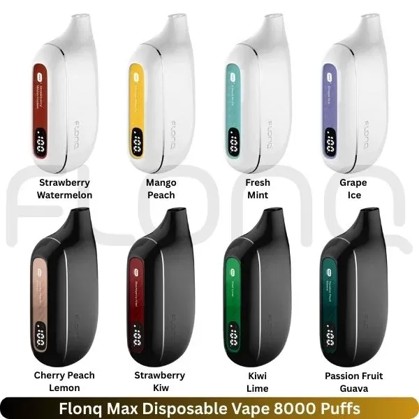 Flonq Max Disposable Vape 8000 Puffs