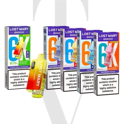 LOST MARY BM6000 PRE-FILLED POD VAPE KIT – 30K BUNDLE