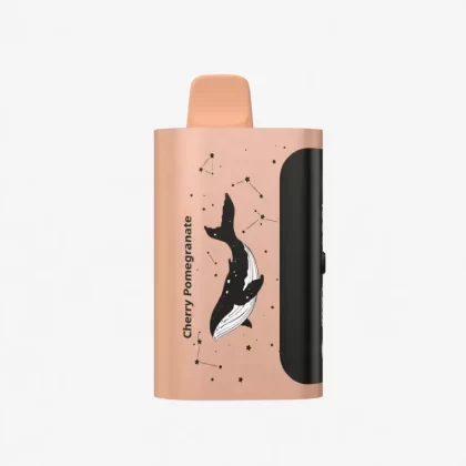 PICCO STAR 40000 Puffs – Cherry Pomegranate - Ozvapeone (E8E5B5)