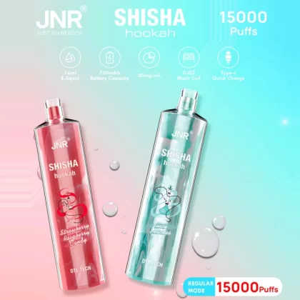 JNR Shisha Hookah 15K Disposable E-Hookah - 15000 Puffs - Watermelon Strawberry Bubblegum
