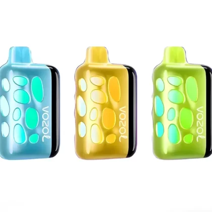 Vozol Rave 40000 Puffs Rechargeable Disposable Kit