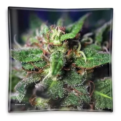 V Syndicate “Blue Dream” Glass Ashtray - Ejuicewarehouse