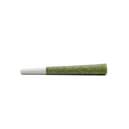 Stinger Blunts 1g Watermelon Gushers Infused Joint Stinger Blunt