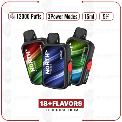 North FT12000 Disposable Vape - Thevapersworld