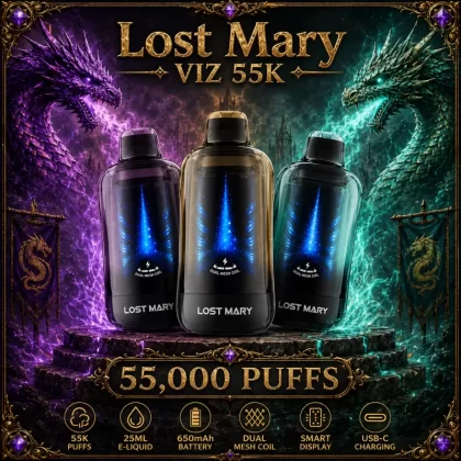 Lost Mary VIZ 55K - Raspberry Dragon Lime