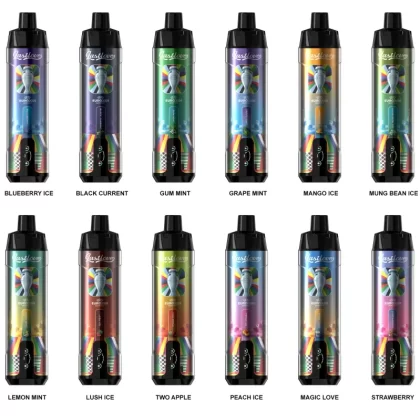 Last Love 20000 Puffs Rechargeable Disposable Kit (EURO2024) - Lush Ice
