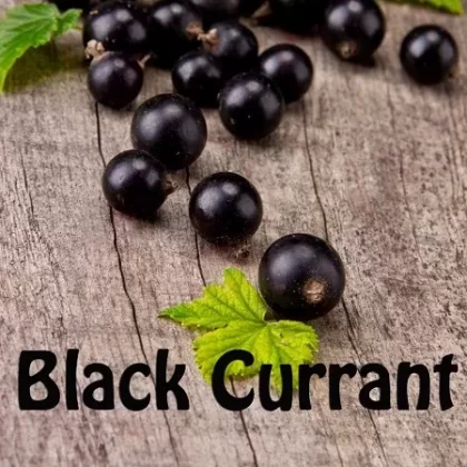 Black Currant Premium E-Liquid