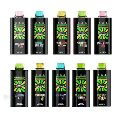 Wotofo nexBar 20K Rechargeable Disposable Vape Kit - Strawberry Kiwi / 20mg / CN-SZ Warehouse