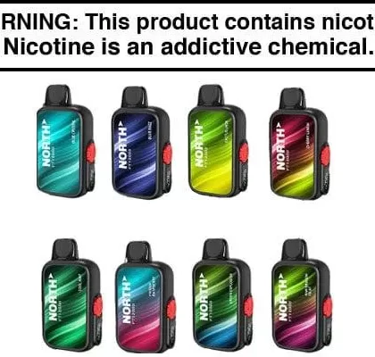 NORTH FT12000 DISPOSABLE VAPE – 12,000 PUFFS - Vapejuice