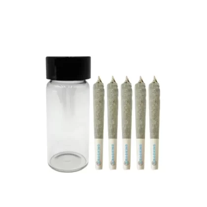 eBottles 2 oz Glass Jar (28mm) – Fits 5 Prerolls