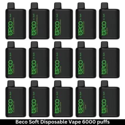 Beco Soft Disposable Vape 6000 puffs