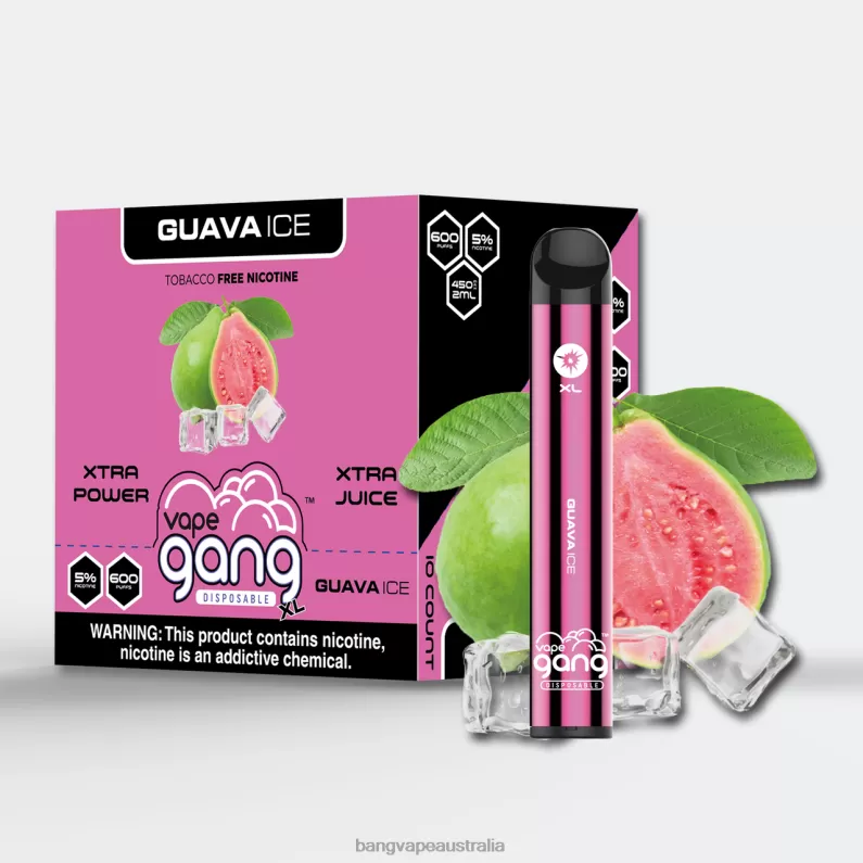 Vape Gang XL Disposable Vapes 600 puffs (Box of 10) 6006N72 Guava Ice – Gang Vape Price - Bangvapeaustralia