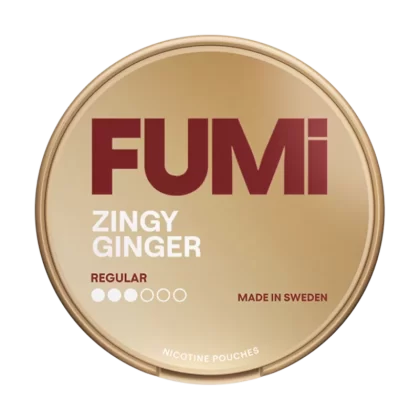Zingy Ginger FUMI Nicotine Pouches - 4mg - Vape Product (850149)