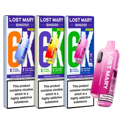 Lost Mary BM6000 Prefilled Vape KIT 10mg - Blueberry