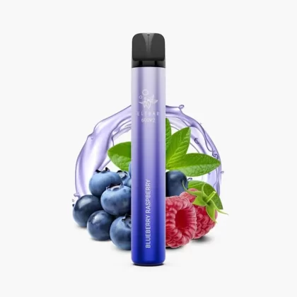 ELFBAR 600V2 Blueberry Raspberry | Beeren-Mix Einweg Vape