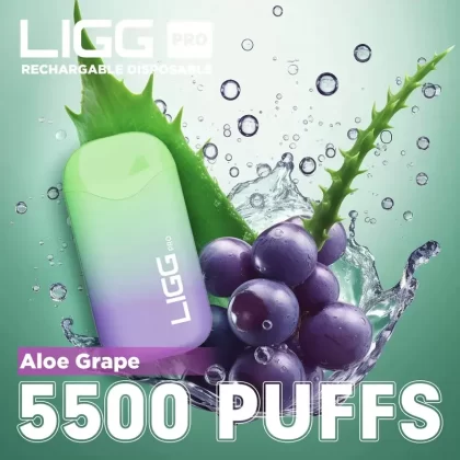 Ligg Pro 5500 Puffs Disposable Vape – Aloe Grape - Ejuicewarehouse
