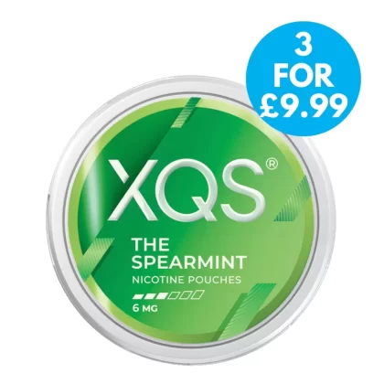 XQS Snus 6mg Nicotine Pouches The Spearmint