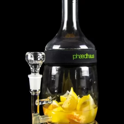 Phaedhaus Infuse Bong