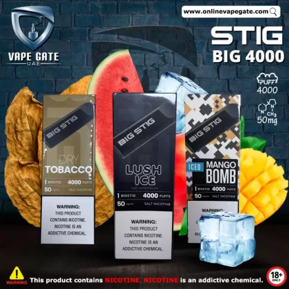 Vgod Big Stig Disposable Vape (4,000 Puffs) - 50 mg / Mighty Mint