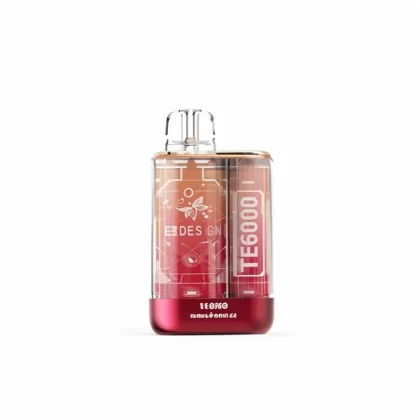 EB TE6000 Mesh Coil Disposable Vape - Bangvapeaustralia