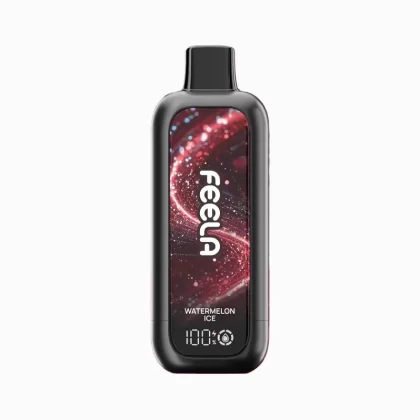 Feela Nic 40K Disposable Vape