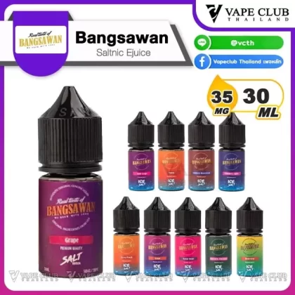 Bangsawan Saltnic