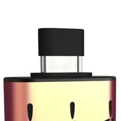 AirVape XS – Mouthpiece