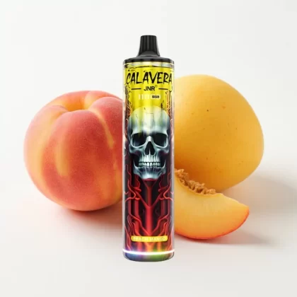 JNR Calavera 11000 Puffs Melocotón Mango Tipo-C 850mAh 21ml