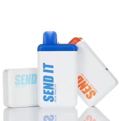 Send It 5000 Puffs Rechargeable Disposable Vape - 12ML (DISCONTINUED) - Blue Razz Ice