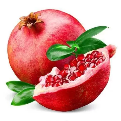 Pomegranate E-Liquid - Vape Product, Vape Product; Vape Product, Vape Product; No reviews