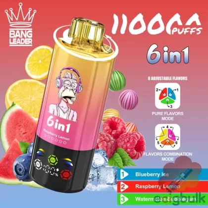 Bang LEADER 110K Disposable Vape – 110000 Puffs, Rechargeable with 10 Flavors