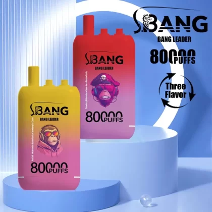 Bang Leader 80000 80K Puffs 3 in 1 Flavors Newest Original Rechargeable Disposable Vape - Vapeq10
