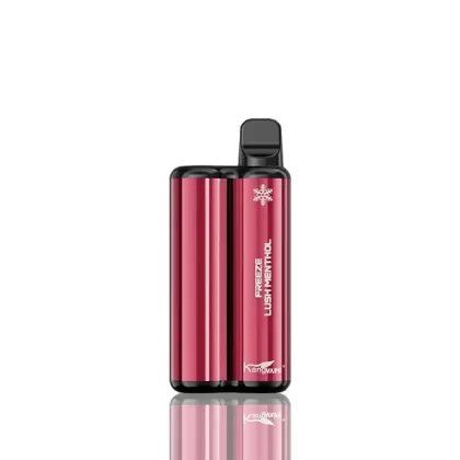 Kangvape Onee Stick 3500 Puffs Disposable 10-Pack - Arctic Devine