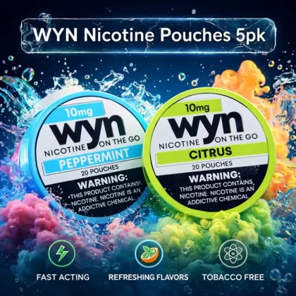 WYN Nicotine Pouches 5pk - Wintergreen / 10mg - Vapeciga