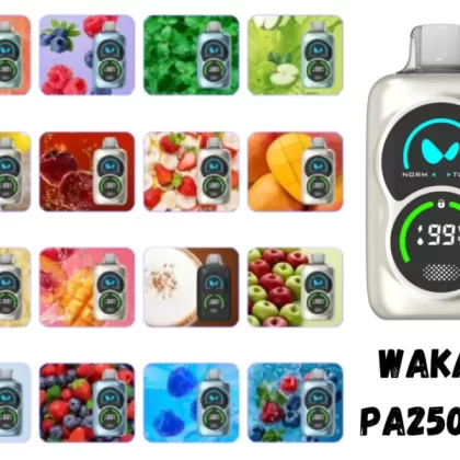 Waka PA25000 Puffs Disposable Vape 50mg - Vapesmokezone