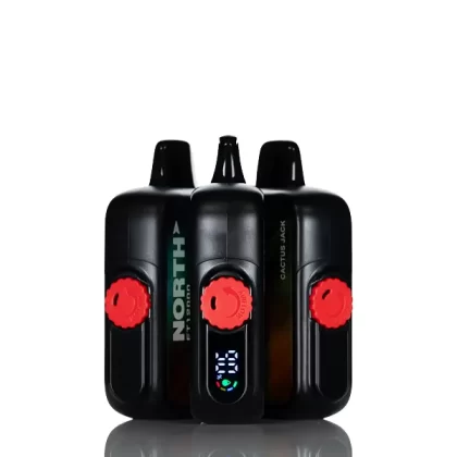 North FT12K 12000 Puffs Disposable Vape - Kiwi Pineapple