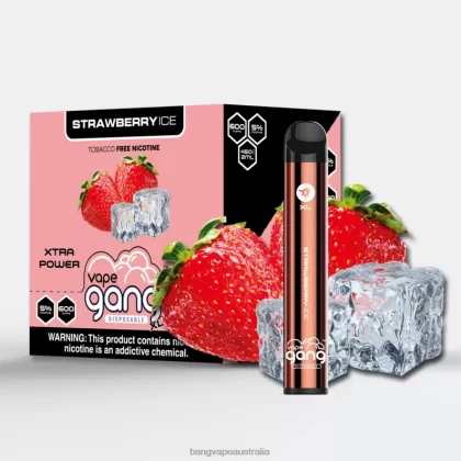 Vape Gang XL Disposable Vapes 600 puffs (Box of 10) 6006N78 Strawberry Ice – Vape Gang Shop - Bangvapeaustralia