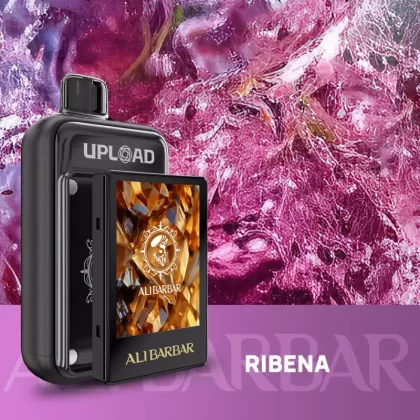 ALIBARBAR UPLOAD 25000 PUFFS – Blackcurrant - Ozvapeone