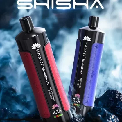 Hayati Pro Max Shisha 15000 Puffs Prefilled Vape Pod Kit – Box of 10