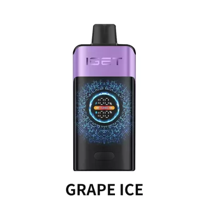 IGET ONE 12000 Puffs – Grape Ice - Ozvapeone