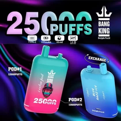 Bang King 25K Dual-Pod Disposable Vape - Vapeq10