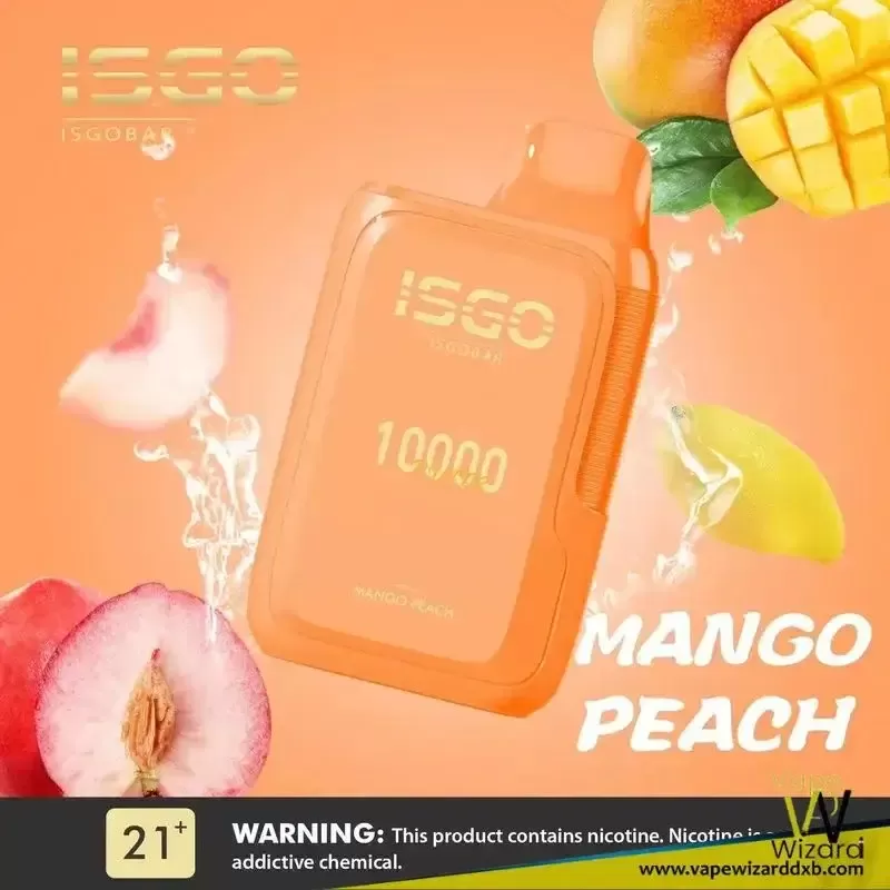 ISGO BAR 10000 Puffs 5% Nicotine Disposable Vape - Vapewizarddxb - Image 2