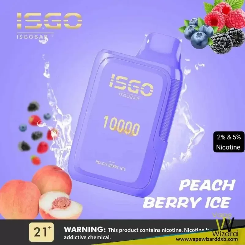 ISGO BAR 10000 Puffs 5% Nicotine Disposable Vape - Vapewizarddxb - Image 3