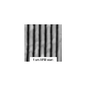 145nm Pitch Calibration Standard for AFM